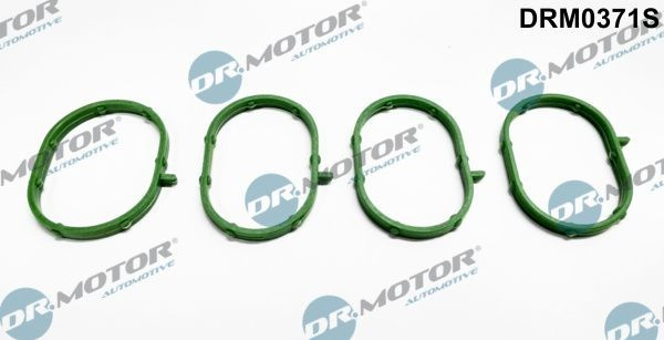 Прокладка колектору впуск Ford Focus III